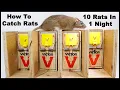 Lagu The Best Way To Trap Rats. The Ultimate Rat Trapping System. Mousetrap Monday