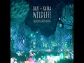 Wildlife (KOLIDESCOPES Remix) - Jauz & KARRA