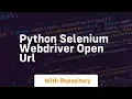 python selenium webdriver open url
