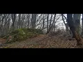 Nature Sounds - Evening Bird Song
