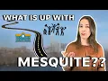 Living In Mesquite Texas