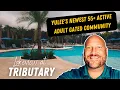 Lakeview at Tributary - Yulee s Newest 55 Active Adult Gated Community