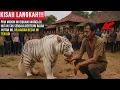 Download Lagu PRIA MISKIN INI DIBUANG WARGA DI HUTAN TAK SENGAJA BERTEMU RAJAH HUTAN INI, KEAJAIBAN BESAR TERJADI