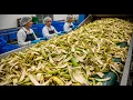 Inside Southeast Asia s Largest Banana Peel Processing Factory You ve Never Seen