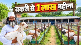 बकरी पालन से 1 लाख महीना कैसे कमाएं? | Barbari Goat Farming