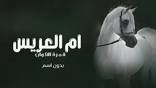 شيلة ام العريس بدون اسم جديده 2025 ام العريس قمرة الاكوان حماسيه شيلات لام العريس 