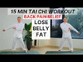 15-Min Tai Chi Workout for All Levels Burn Belly Fat Slim Your Body Fast