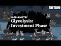 Glycolysis Investment Phase Carbohydrates MCAT Biochemistry Review Sketchy MCAT