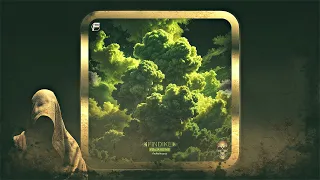 Findike Stellar Motion Original Mix Findike Records 