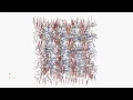 Blue Phase director field - secondary flow