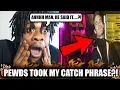 Pewdiepie Took My Catch Phrase Pewdiepie - Mine All Day Minecraft REACTION