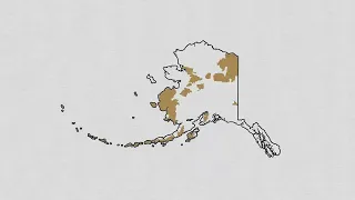 A Third of America Belongs to America