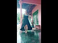 Download Lagu Cantik Kan ? Tetangga Sebelah