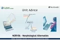 MOR106 - Unit Advice Morphological Alternation