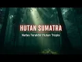 Lagu surga khatulistiwa yang menderita | HUTAN SUMATRA