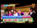 Lagu Honma dekka tv
