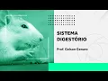Channel