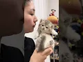 Kissed my little kitten while the room felt extra warm and quiet #cat #kitten #turkishcat #cutecat