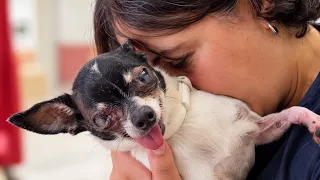 Kiko va a perder un ojo. No va a pasar por esto solo.