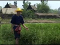 ลำเพลินคุยสาวเกี่ยวข้าว - พรศักดิ์ ส่องแสง [Official MV]