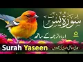 Lagu Surah Yasin ( Yaseen ) with Urdu Tarjuma | Quran tilawat | Ep192 | Quran with Urdu Hindi Translation