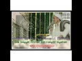 Download Lagu YA GHOFFAR \