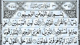 Surah Yaseen, Surah Rahman, Surah Mulk, Ayatul Kursi, 4 Qul | Heart Touching Quran Tilawat