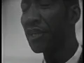 Hound Dog Taylor - Little Walter - Koko Taylor