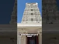 Livermore Temple rush