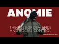 What Causes Crime Anomie Says Strain