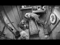Download Lagu A freezing and starving kitten wandered into our goat barn!