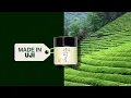 Lagu What is Uji Matcha and Why It's So Valuable?