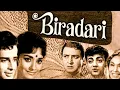 Lagu Biradari (1966) Full Hindi Movie | Shashi Kapoor, Fariyal, Pran, Lalita Pawar, Mehmood