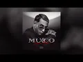 MUCCO - Moonlight (Official Viusalizer)