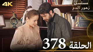 الحلقة 378 مسلسل زهور الدم مدبلج بالعربية Kan Çiçekleri جودة 4K 