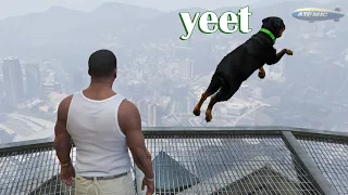 GTA memes to watch before GTA 6