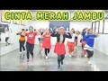 Download Lagu DJ Merah Jambu | Musik TikTok Viral | Senam Kreasi Choreo by SS Prambos