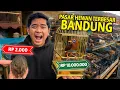 Download Lagu SIDAK HEWAN PALING MURAH DAN PALING MAHAL YANG ADA DI PASAR HEWAN TERBESAR DI BANDUNG! LENGKAP PISAN