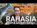 Download Lagu PERKUTUT AMPUH...PERKUTUT KERAMAT...⁉️ TETAP HIDUP TANPA INDUKAN DI ALAM LIAR