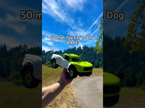 50 mph Toy Car vs Dog