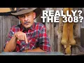 Is The 308 Win REALLY The Most Popular Cartridge in America