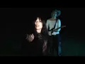 Golden Cats - Little Bit (Shadow) Official Music Video