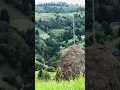 Lagu 🎶 А у літі роблять сіно, взимку віддихають🐎🐑🌄   #пісня #music #song #хіти #пісніукраїнською #природа