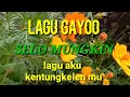 Download Lagu lagu gayo kentungkelen