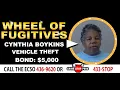 Wheel of Fugitives Episode 480 Cynthia Boykins