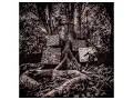 Kamasi Washington - Knowledge