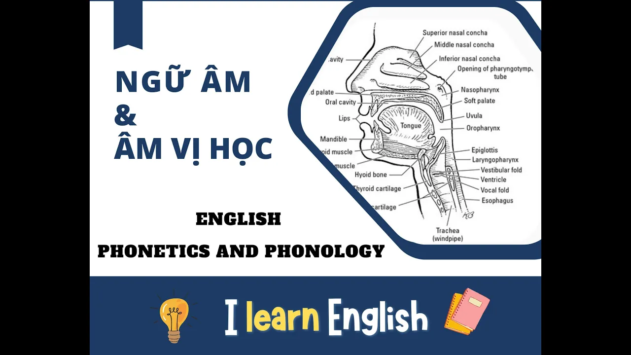 Outline Video English Phonetics and Phonology_ lecture 5