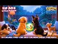 Dog TV For Dogs To Watch All Day Fun Cartoon Adventures Music to Prevent Boredom for Dogs