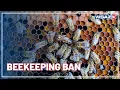 Beekeeping ban heads to WV Supreme Court