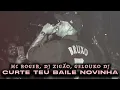 MC ROGER, DJ ZIGÃO, GELOUKO DJ - Curte Teu Baile Novinha